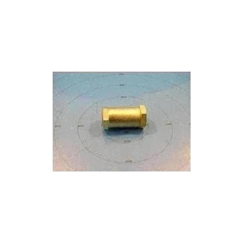 022-01436-000 - Valve Chk by York