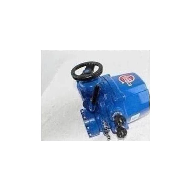 025-42245-009 - Actuator Valve by York
