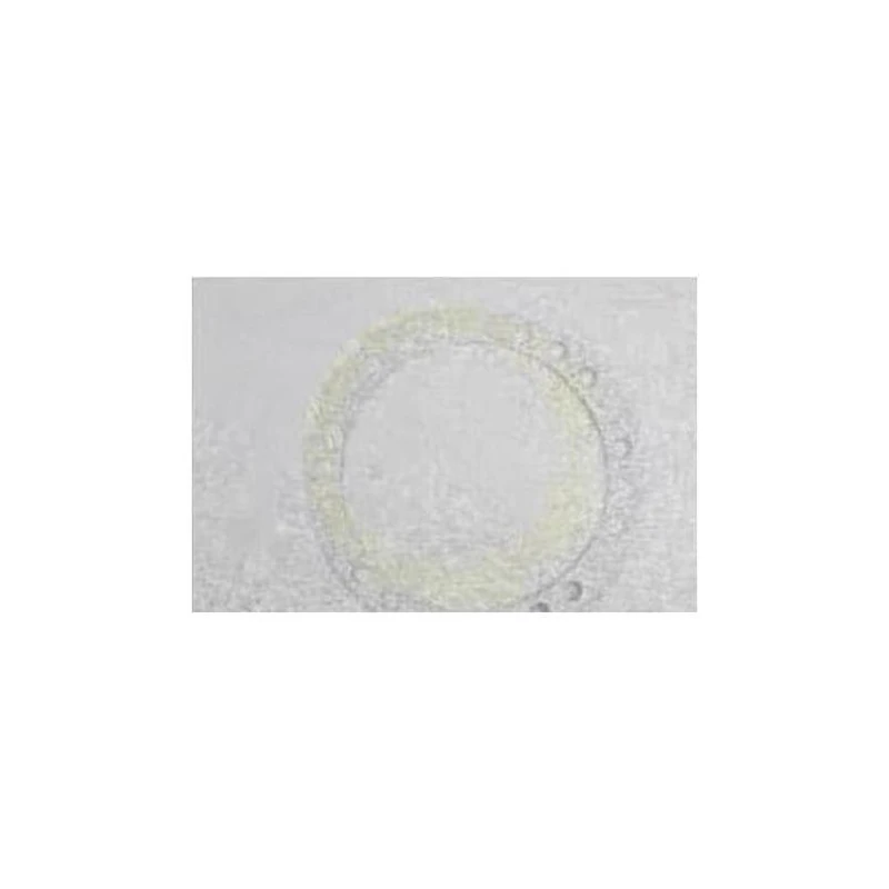 028-13745-002 - Gasket Shaft Seal 1 32 by York