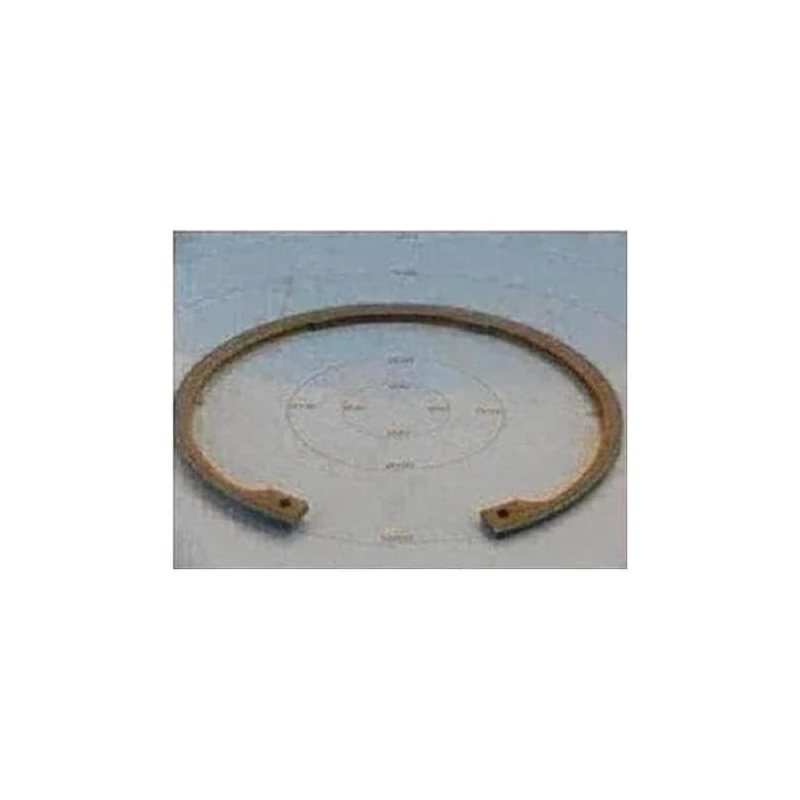 029-16010-000 - Ring Retng Int 7.795od X0.18 by York