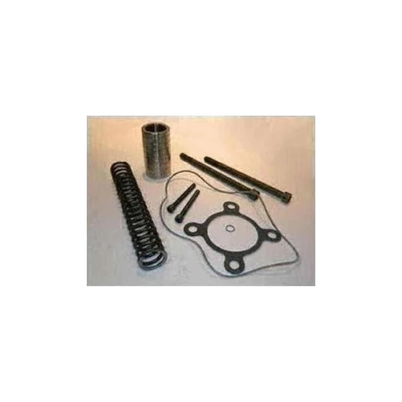 364-51136-001 - Kit Oring/piston/spring by York