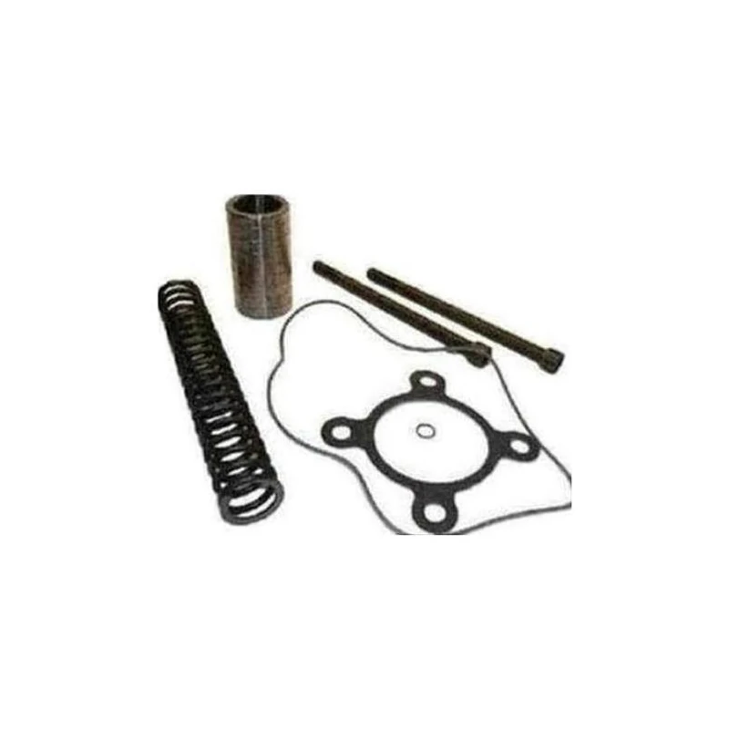 364-51136-003 - Kit Oring/piston/spring by York