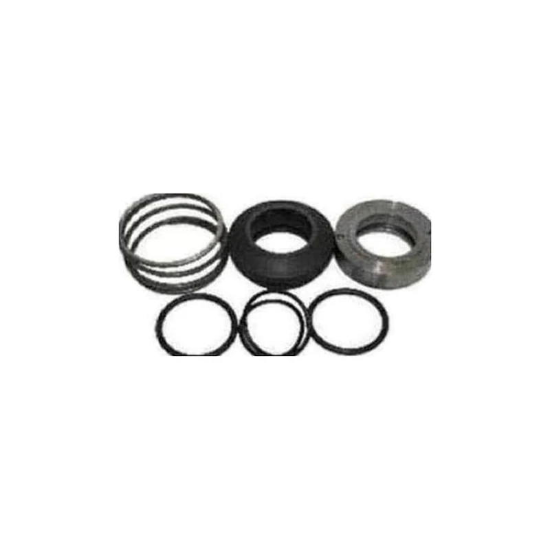 464-46874-000 - Kit Seal Shaft by York